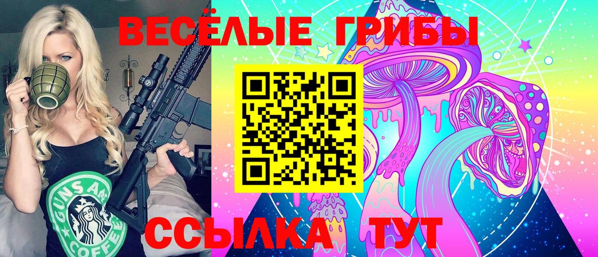 Галлюциногенные грибы GOLDEN TEACHER Реутов