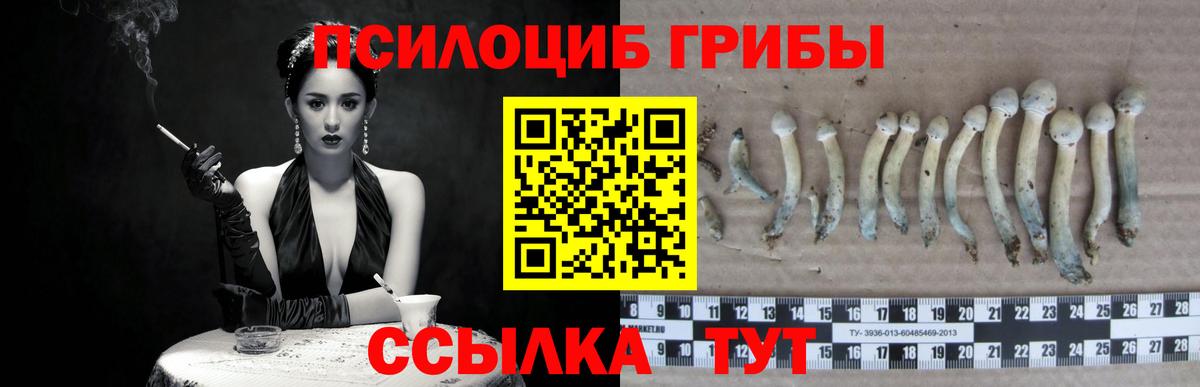 Реутов  Галлюциногенные грибы мухоморы  Вход с VPN  Галлюциногенные грибы GOLDEN TEACHER 